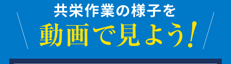 共栄作業の様子を動画で見よう